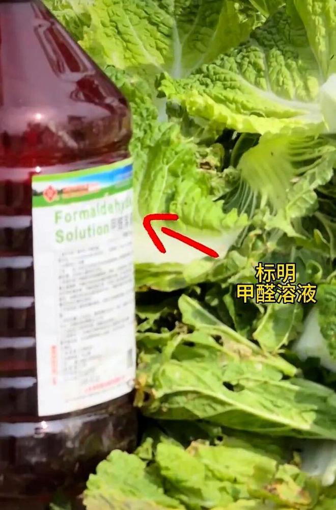 多地紧急排查“甲醛白菜”流向 专家提示买菜注意这几点